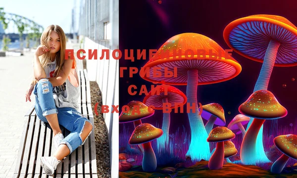 гидропоника Балахна