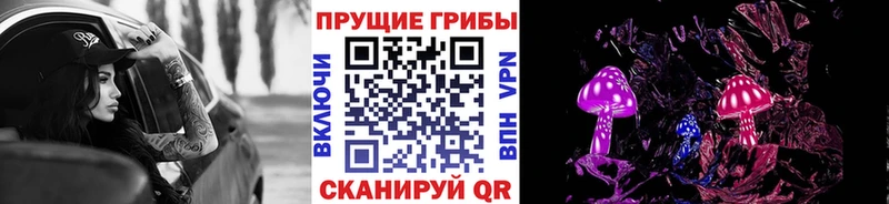 Купить где  Сурск  Галлюциногенные грибы Psilocybine cubensis 