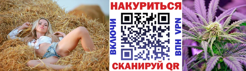 Канабис индика Сурск